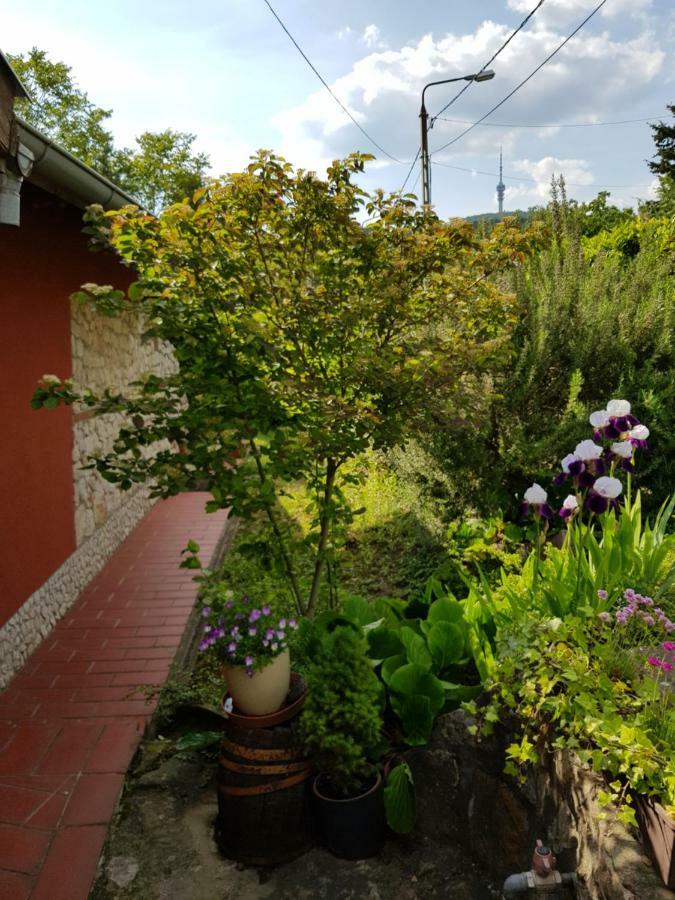 Mediterran Apartman Печ Экстерьер фото